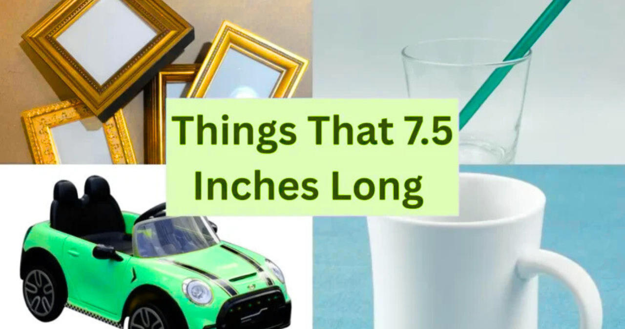 Is 7.5 Inches Long: Exploring Size, Perception, and Reality Is 7.5 Inches Long: Exploring Size, Perception, and Reality