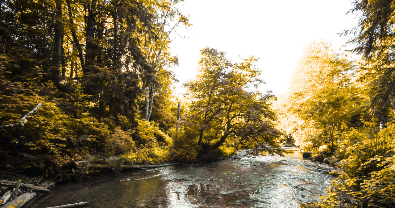 Lyre River Campground: A Hidden Gem for Nature Lovers and Adventure Seekers Lyre River Campground: A Hidden Gem for Nature Lovers and Adventure Seekers